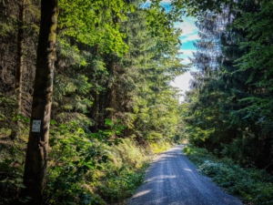 Auf breitem Schotterweg bergab