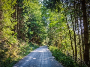 Etappe auf breitem Schotterweg