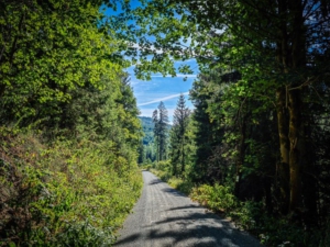 Auf breitem Schotterweg immer mehr bergab