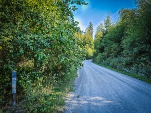 Fahrweg zur Bischofsmühle