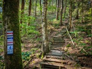 Hölzerne Waldtreppe