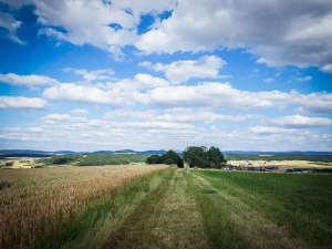 Der Weg rüber zum Aussichtspunkt