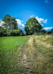 Weg rechts nach oben