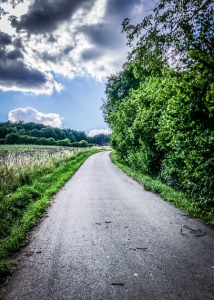 An der Hecke entlang bergauf