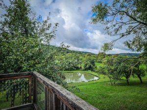 Ausblick auf einen Weiher am Petersberg