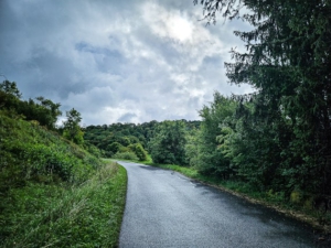 Weitere Infotafeln - u.a. eine mit heimischen Singvögeln