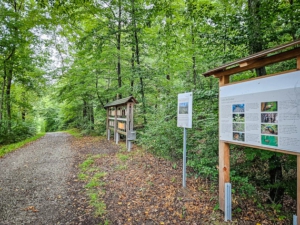 Auf breiten Forstweg nach links abbiegen und eben am Hang entlang
