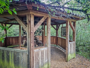 Pavillon am Petersberg