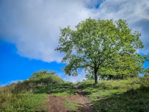 Letzter Anstieg nach ganz oben