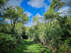 Auf einem malerischen Weg bergab