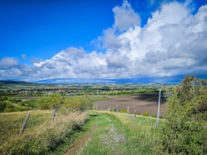 Weg zwischen eingezäunten Wiesen bergab
