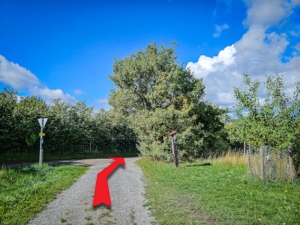 An nächster Weggabelung nach rechts unten