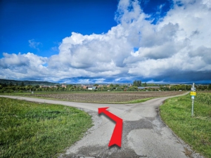 An Gabelung unten nach links abbiegen – also weiter am Hang entlang