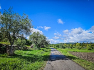 Schmaler, geeterter Weg zurück zum Startpunkt