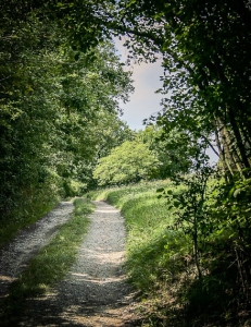 Weg an Wiesen weiter oben