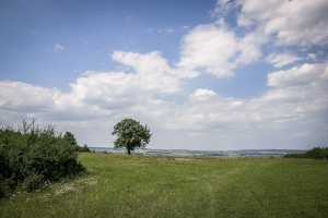 Unterer Bergsattel mit Aussicht