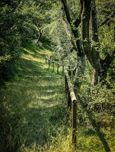 Am Holzgeländer bergab