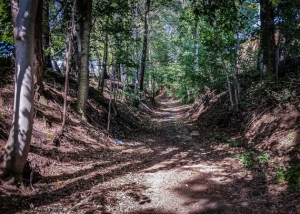 Wandern im Hohlweg