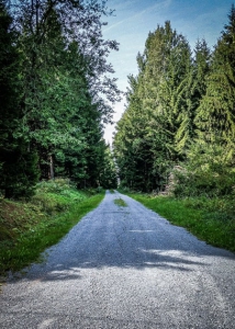 Breiter Schotterweg an Nordflanke