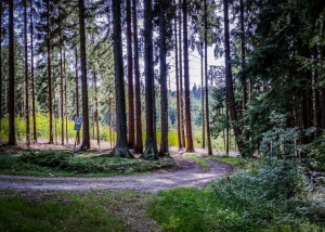 Auf breiten Schotterweg