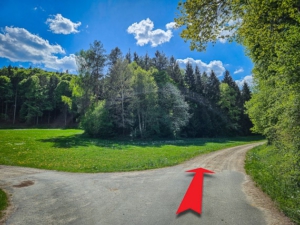 Rechts an langem Waldrand entlang