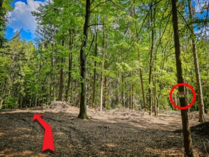 An dieser Stelle den Pfeilen nach links folgen