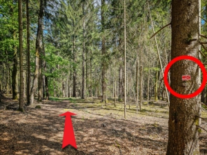 Dem „Fränkischen Gebirgsweg“-Wegweiser folgen