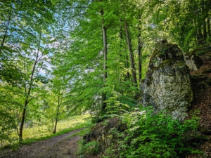 Weg mit Gefälle in Richtung Autobahn an Felsen vorbei