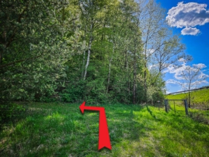 Bergauf und am Waldrand nach links in den Wald