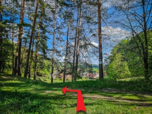 Auf dem Bergsattel nach links hinüber zu den Sitzgruppen abbiegen