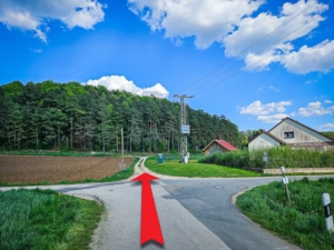 Über Kreuzung geradeaus bis zum Waldrand
