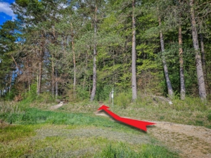 Pfad führt neben Ruhebank in den Wald hinauf