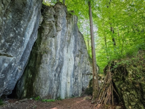 Hohe Felswände im Wald beim Wandern des Höhlenweges