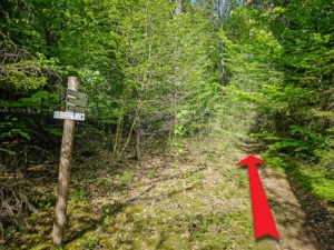 Nach den „Fuchslöchern“ gabelt sich der Pfad - hier nach links oben gehen