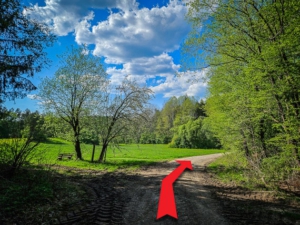 An nächster Waldlichtung bzw. kurzem Waldrand im Rechtsbogen vorbei