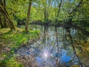 Der Tümpel „Ernsthüll“ - ein echter „Kaiser-Teich“