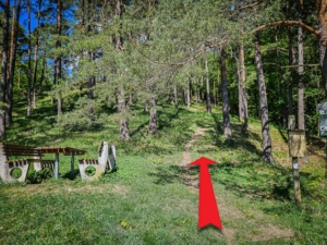 Am Gottvaterberg neben der Sitzgruppe dem Pfad bergauf folgen