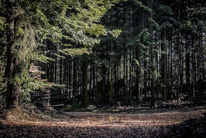 Weg mit leichtem Gefälle