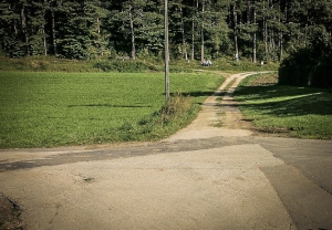 Geradeaus in Richtung Waldrand