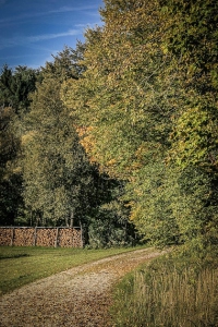 Am nächsten Waldrand entlang