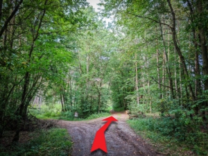 Im Wald noch einmal nach rechts abbiegen