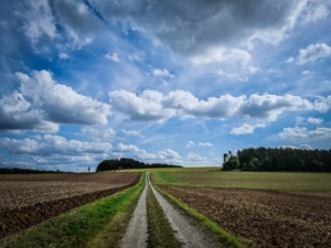 Feldweg über die Ebene