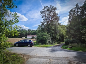 Weiter auf dem Weg durch den Wald