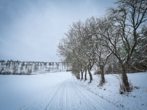 An langer Allee entlang