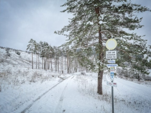 Weg am Hang entlang