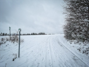 Am Ende der Senke der grünen Raute folgend rechts hoch