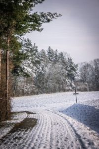 Ecke eines Waldrands mit Wegweiser