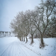 Winter im Tal hinter Sträublingshof