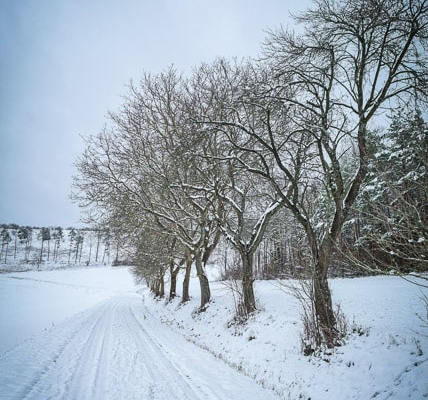 Winter im Tal hinter Sträublingshof