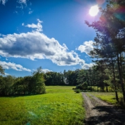 Sommer auf dem Dornig